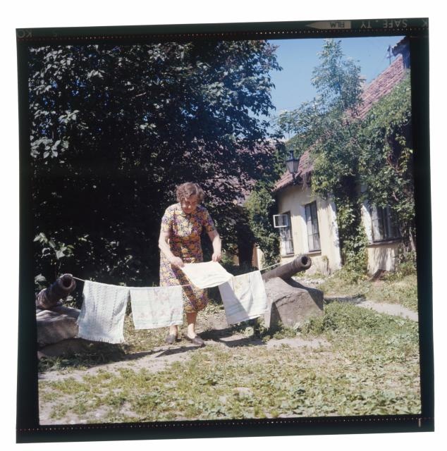 Toom-Kooli 21 hoov Tallinnas