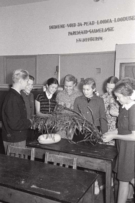 Enne tundide algust vaatavad noored loodussõbrad Tallinna 22. Keskkooli katseaias kasvatatud põllumajanduslikke kultuure.