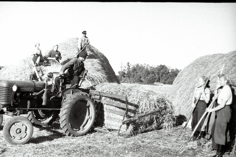 Märjamaa keskkooli 10. klassi õpilased õpetaja Sõrmuse juhtimisel töötamas Avangardi kolhoosis põhu kokkuvedamisel.