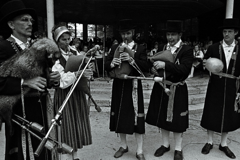 Valge rajooni Ljahhovi nimelise kolhoosi torupillimängijad esinemas.
