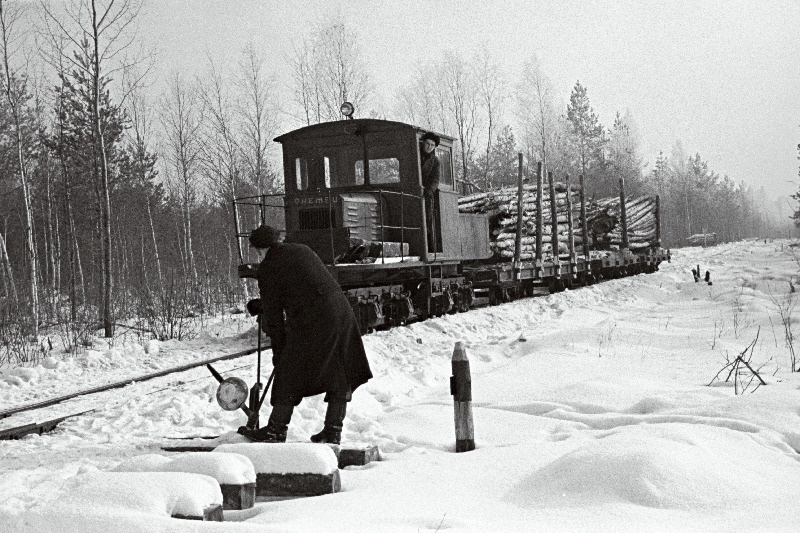 Metsamaterjali vedu raudteel Jõhvi metsapunktis.
