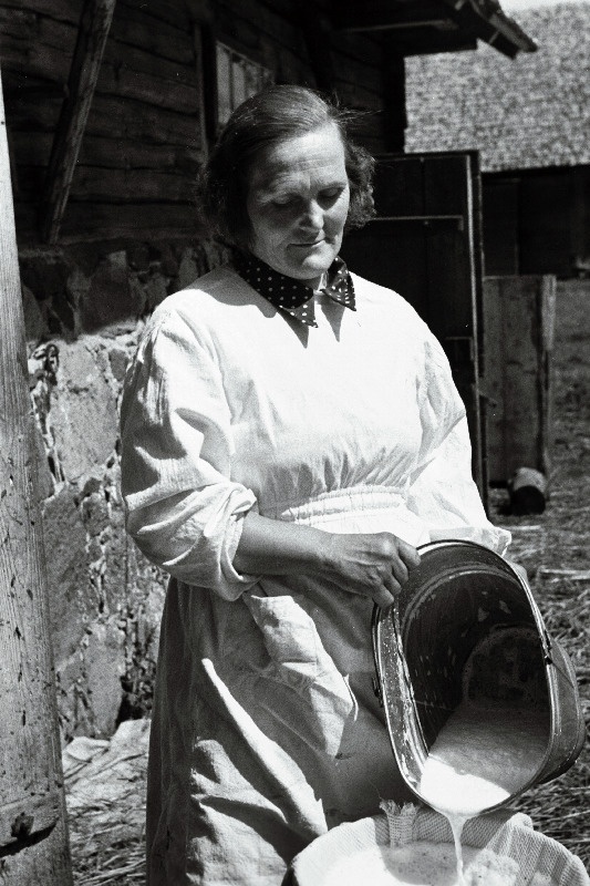 Koidu kolhoosi lüpsja P. Järvekülg.