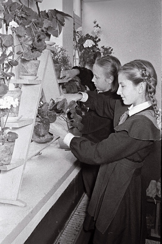 Rapla Keskkooli noored naturalistid K. Ratas (paremalt) ja K. Allas kooli elavnurgas.