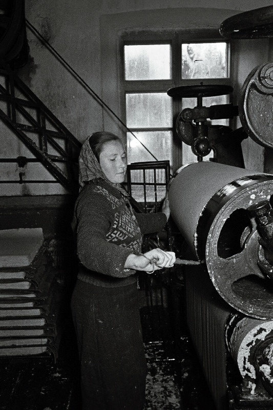 Joaveski Papivabriku noortööline Selma Jõgi.