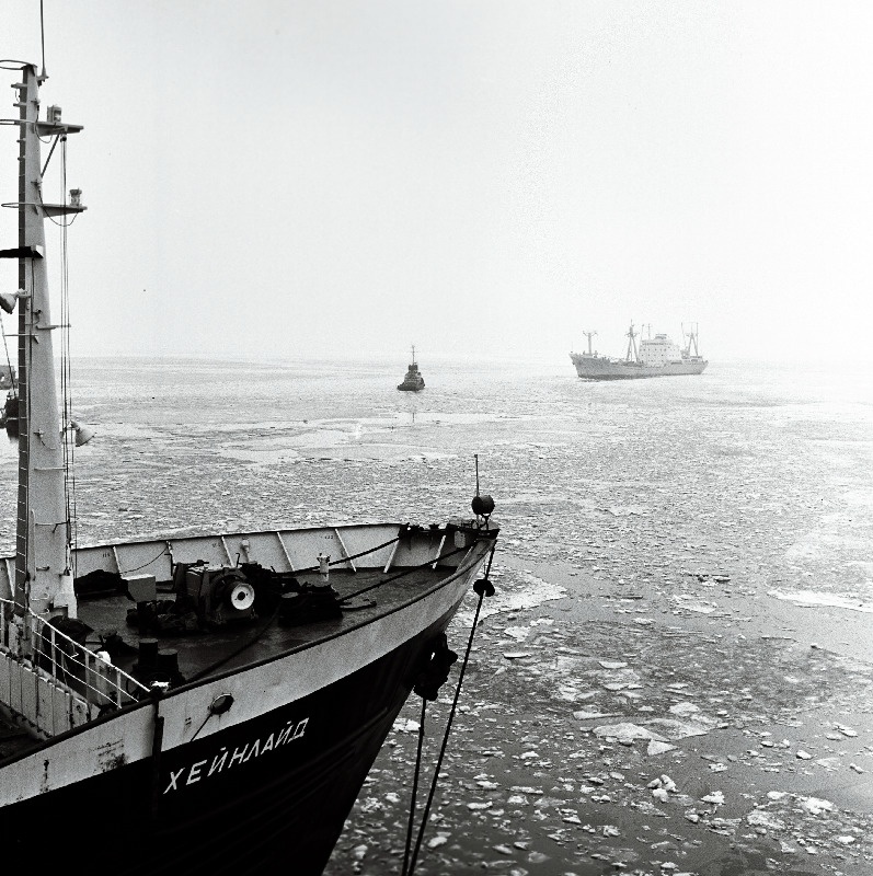 Mootorlaev "Heinlaid" Tallinna sadamas.