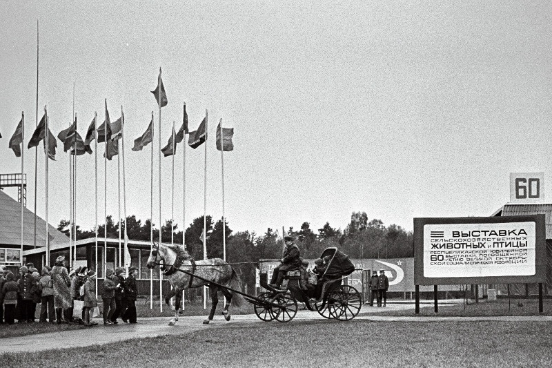 Tootmiskoondise "Eesti Zoovetvaru" Luige baasis avatud Suure Sotsialistliku Oktoobrirevolutsiooni 60. aastapäevale pühendatud põllumajanduslike loomade ja lindude näitus.
