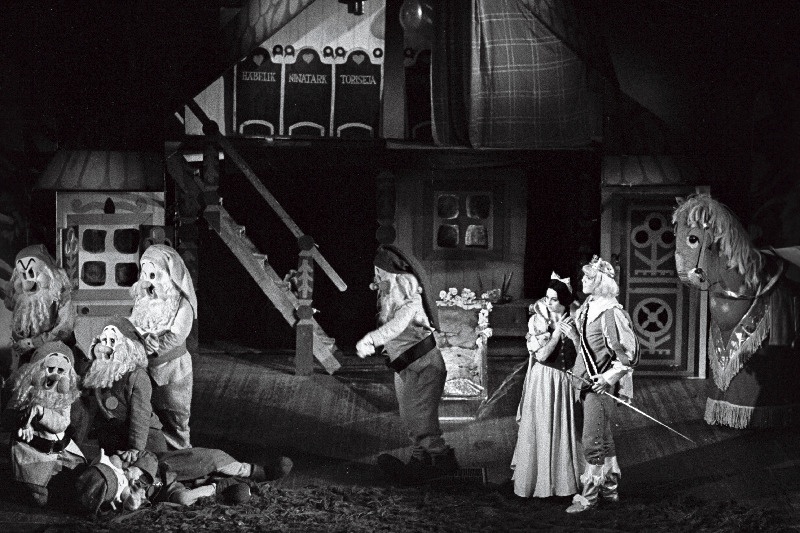 Stseen vendade Grimmide muinasjutu "Lumivalgeke ja seitse pöialpoissi" samanimelisest dramatiseeringust Eesti NSV Riiklikus Noorsooteatris. Lumivalgeke - Ene Järvis, Prints - Jüri Aarma.