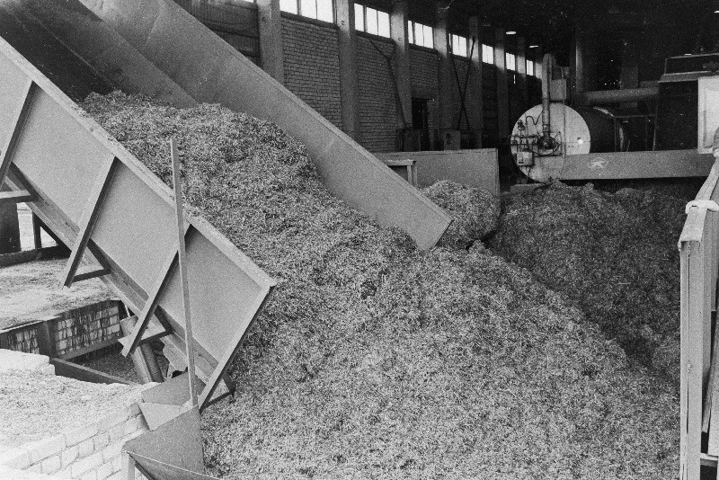 Viljandi rajooni J. Gagarini nimelise näidissovhoostehnikumi rohujahu katsetsehh.