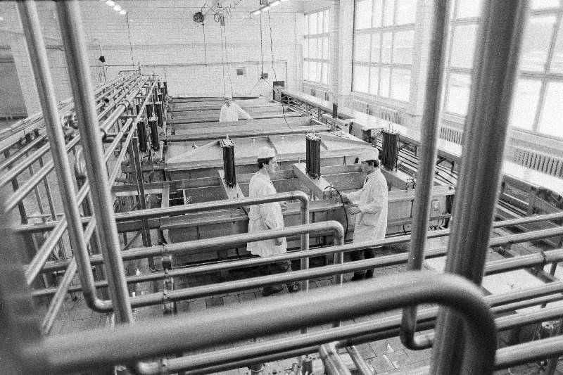 Paide Piimatoodete Kombinaadi juustutsehhi sisevaade.