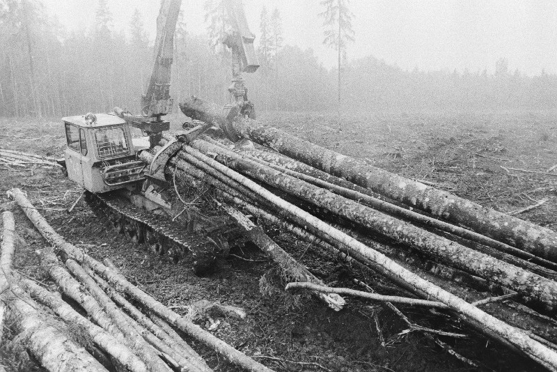 Türi Metsakombinaadi metsa kokkuveo traktor