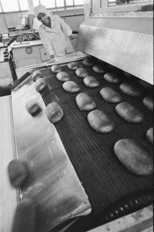 Tootmiskoondise "Leibur" leivaküpsetamise liin.