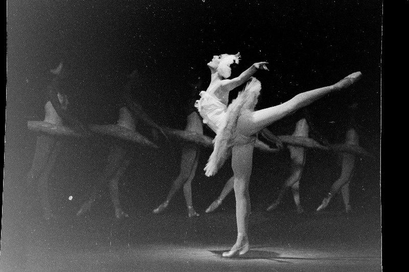 RAT "Estonia" balletisolist Kaie Kõrb Odette osas P. Tšaikovski balletis "Luikede järv".