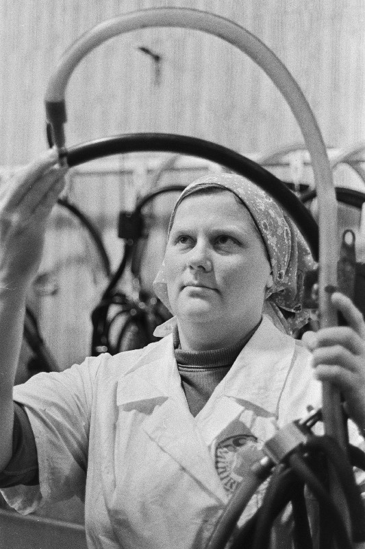 Rakvere rajooni Väike-Maarja kolhoosi lüpsja Maret Põime.