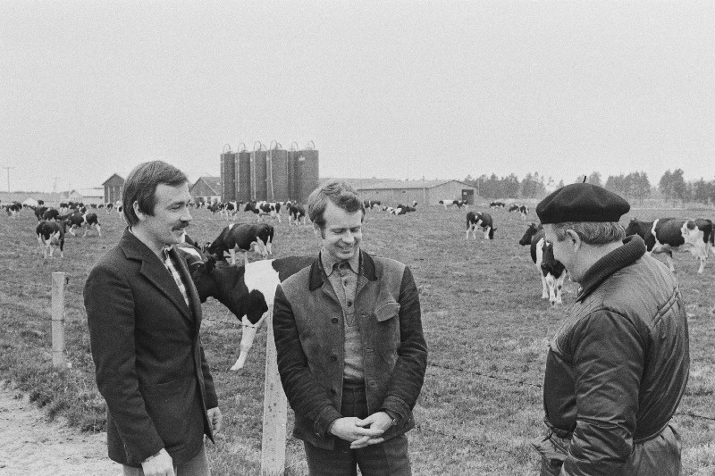 Eesti Maaviljeluse ja Maaparanduse Teadusliku Uurimise Instituudi Saku näidissovhoosi peaagronoom Arvo Pihlak, direktori asetäitja Ruudi Alba ja Instituudi rohusöötade tootmise sektori juhataja, põllumajanduskandidaat Hindrek Older suvise ratsionaalse karjatamise probleeme arutamas.