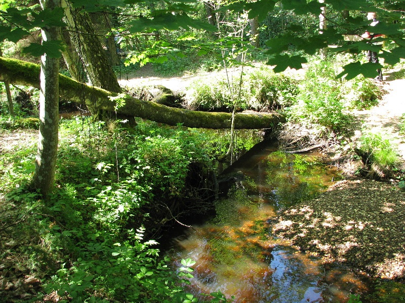 Vanajõe oru õpperada.