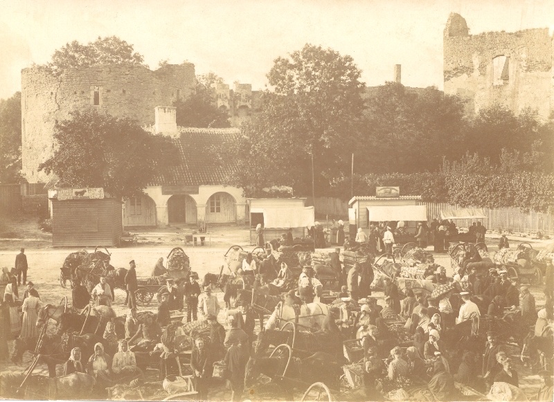 Foto. Vaade Haapsalu turule ja lossivaremeile u. 1900.a.