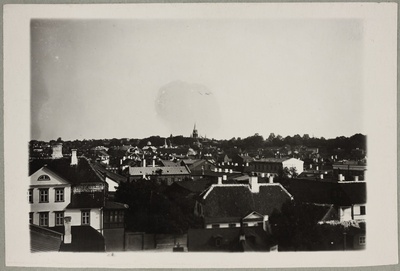 Vaade Ülejõele hotell Bellevue katuselt, vasakul Hugo Treffneri gümnaasiumi peahoone, taamal Peetri kirik  duplicate photo