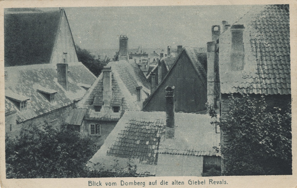 Look from Domberg to the Old Giebel Revals