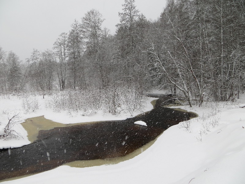 Mustoja Kõrtsitalu. Mustoja.