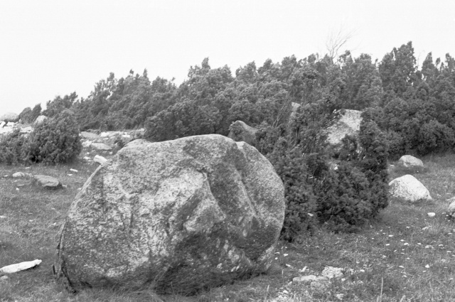 Hiiumaa maastik. Rändrahnud.