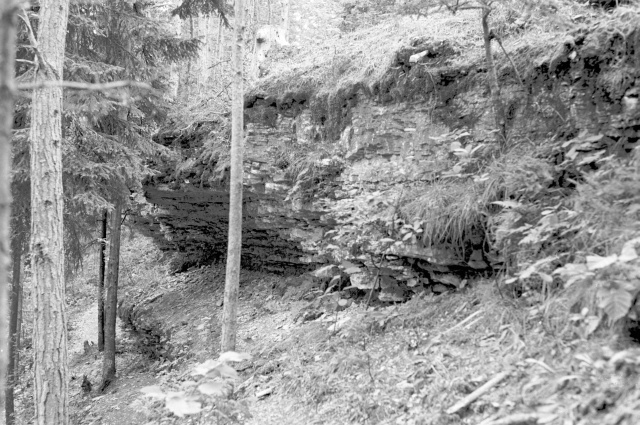 Hiiumaa maastik. Pank.