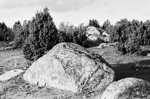 Hiiumaa vaade. Salinõmme.