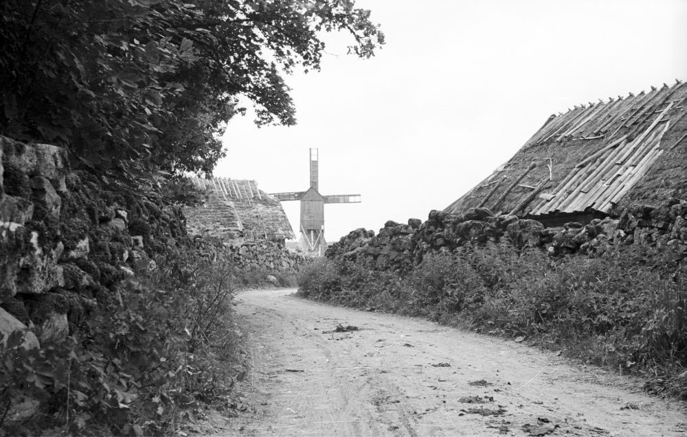 Külatänav Leedri külas