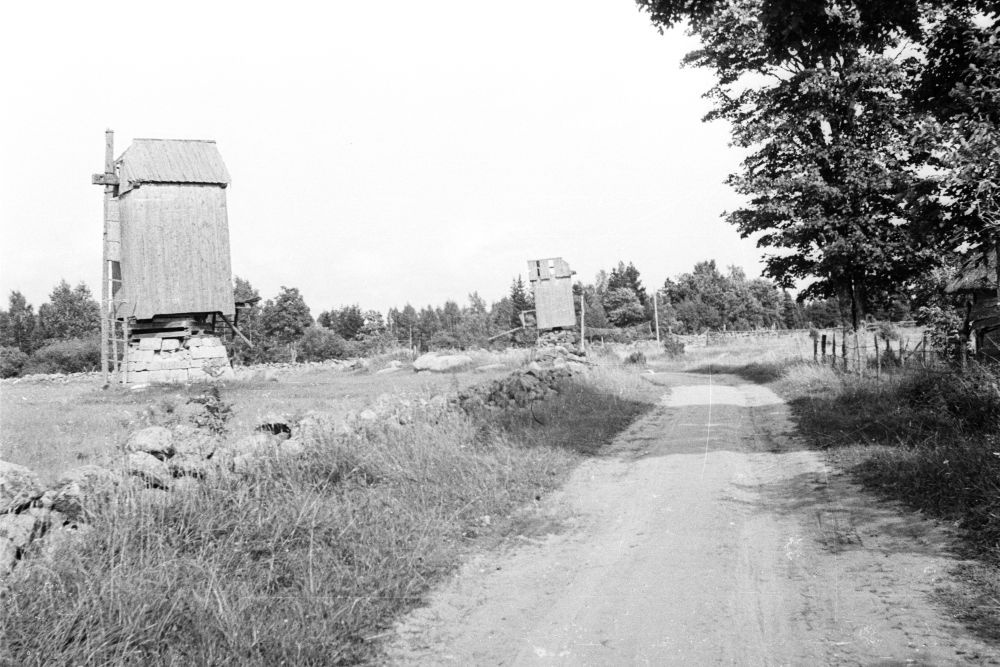 Pukktuulikud Kotlandi külas