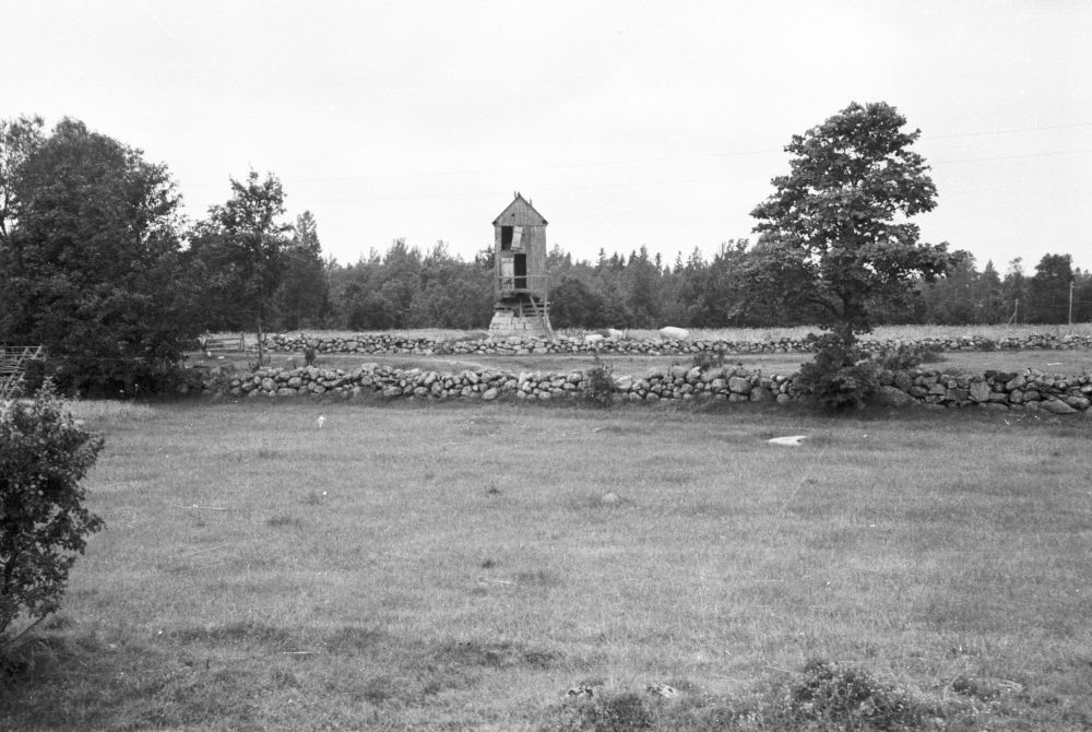 Pukktuulik Koimla külas