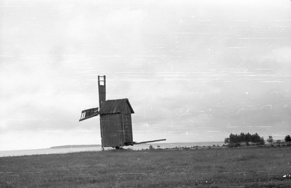 Pukktuulik Saarnaki laiul