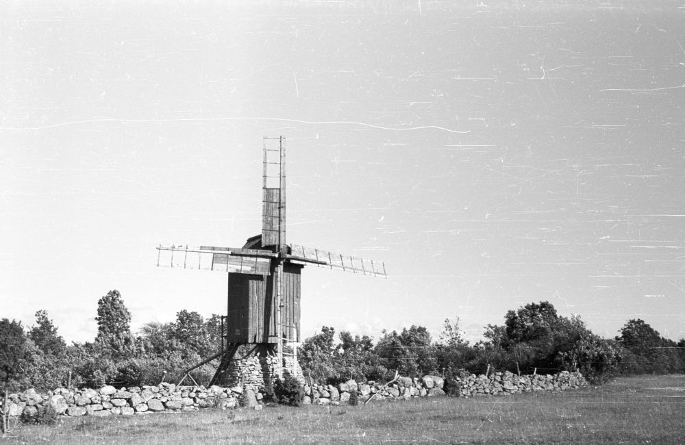 Pukktuulik Leedri külas