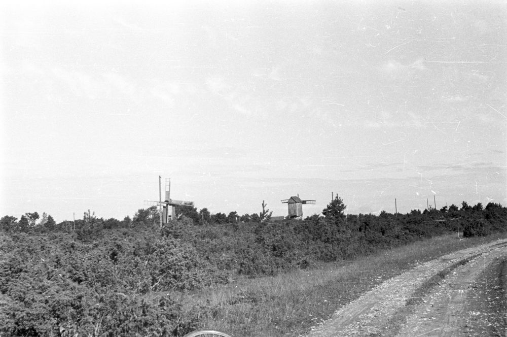 Panga küla tuulikud