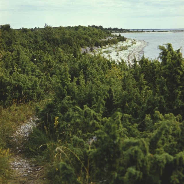 Hiiumaa, Kassari.