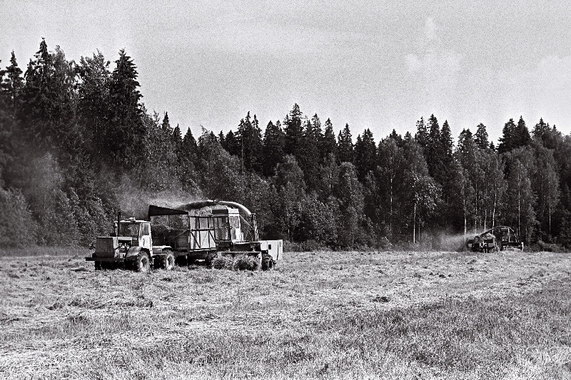 Lustivere kolhoosis käib kuivsilo tegemine.
