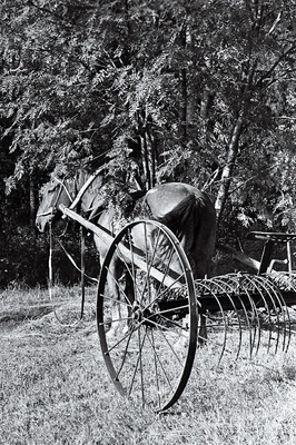 Heinaaeg.  similar photo