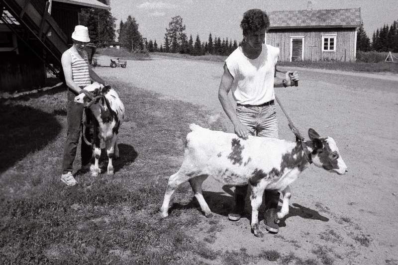 Kuru vallas, Tuomo Anttila talu, Vera ja Indrek.